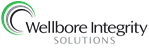 Wellbore Integrity Solutions